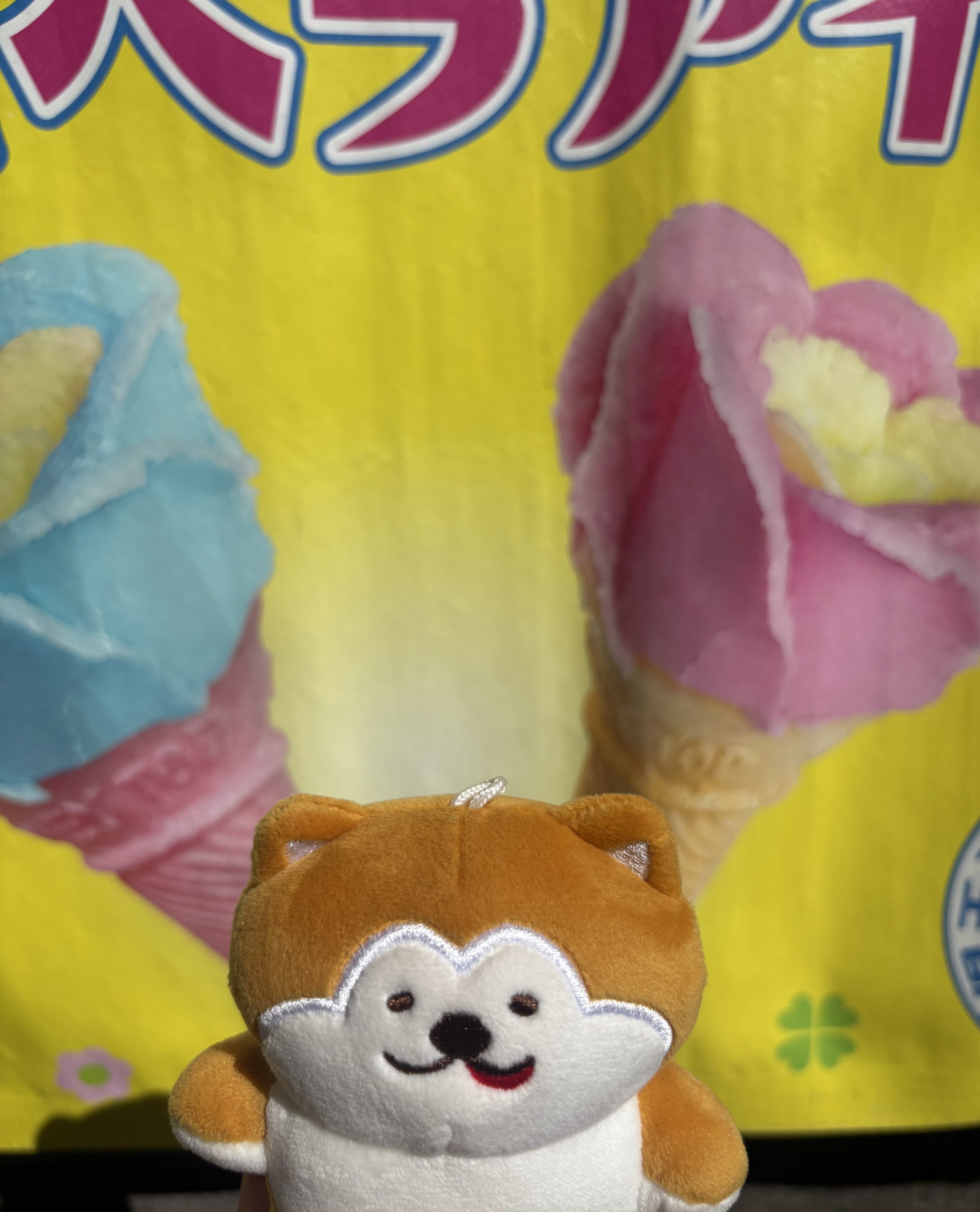 つがにゃん 引換券 キュン♥️パスを使って五所川原駅につがにゃんを迎えに来てね