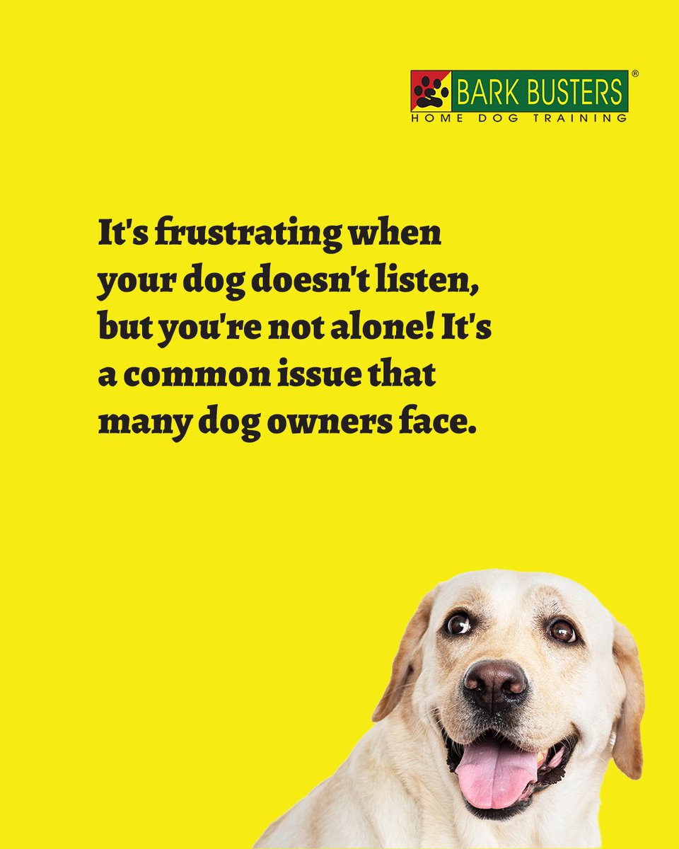 DogsinHouston's tweet photo. 🐾 When your dog doesn’t listen, it’s not defiance it’s a misunderstanding. Swipe through to learn how to strengthen communication and build trust with your dog for better listening! 🐕💡 #DogTraining #BarkBusters https://t.co/uEfjS2vnSE