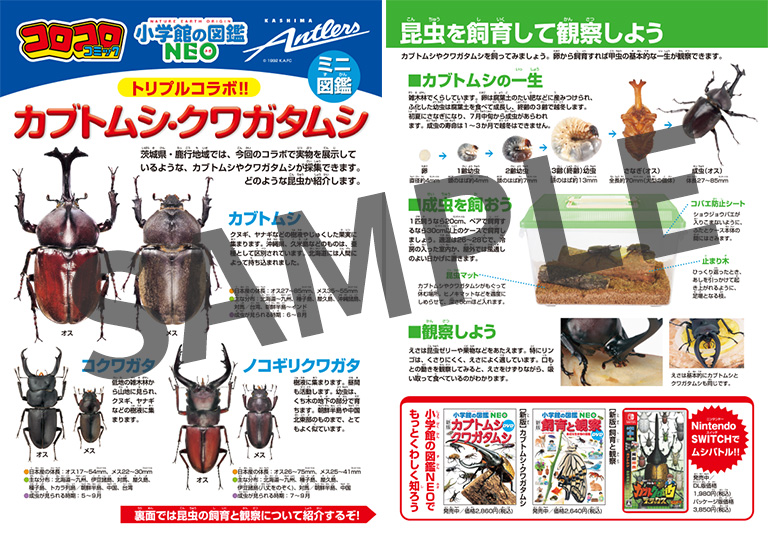 ベンガルクマページ 鹿島アントラーズ on X