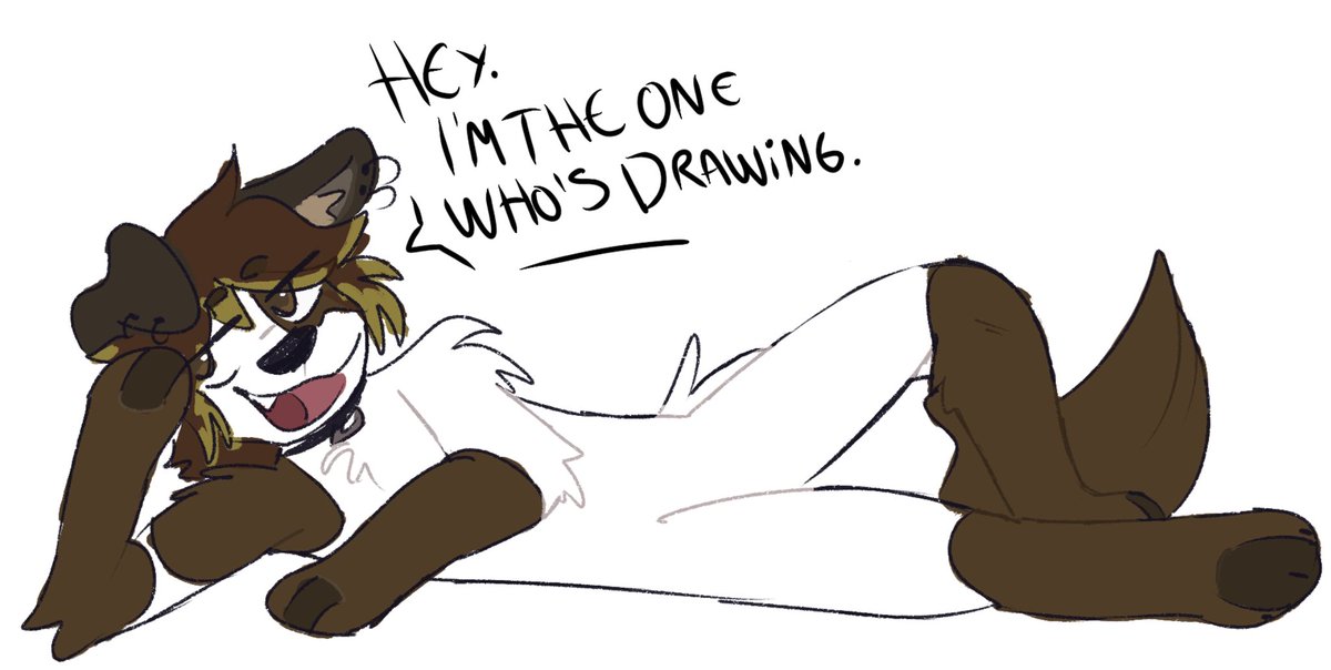 Small break from the doodles look at this dumb dog