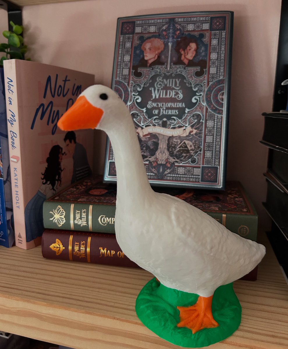 Hello, hi, this is Darcy, my new bookshelf porch goose. ✨