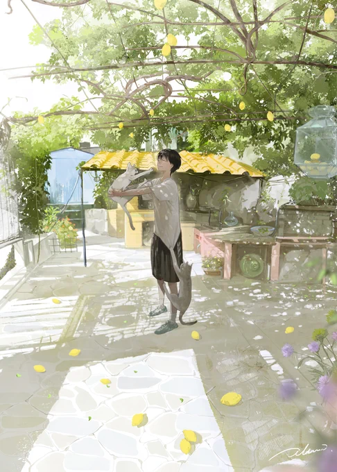 夏に暴れるねこ
