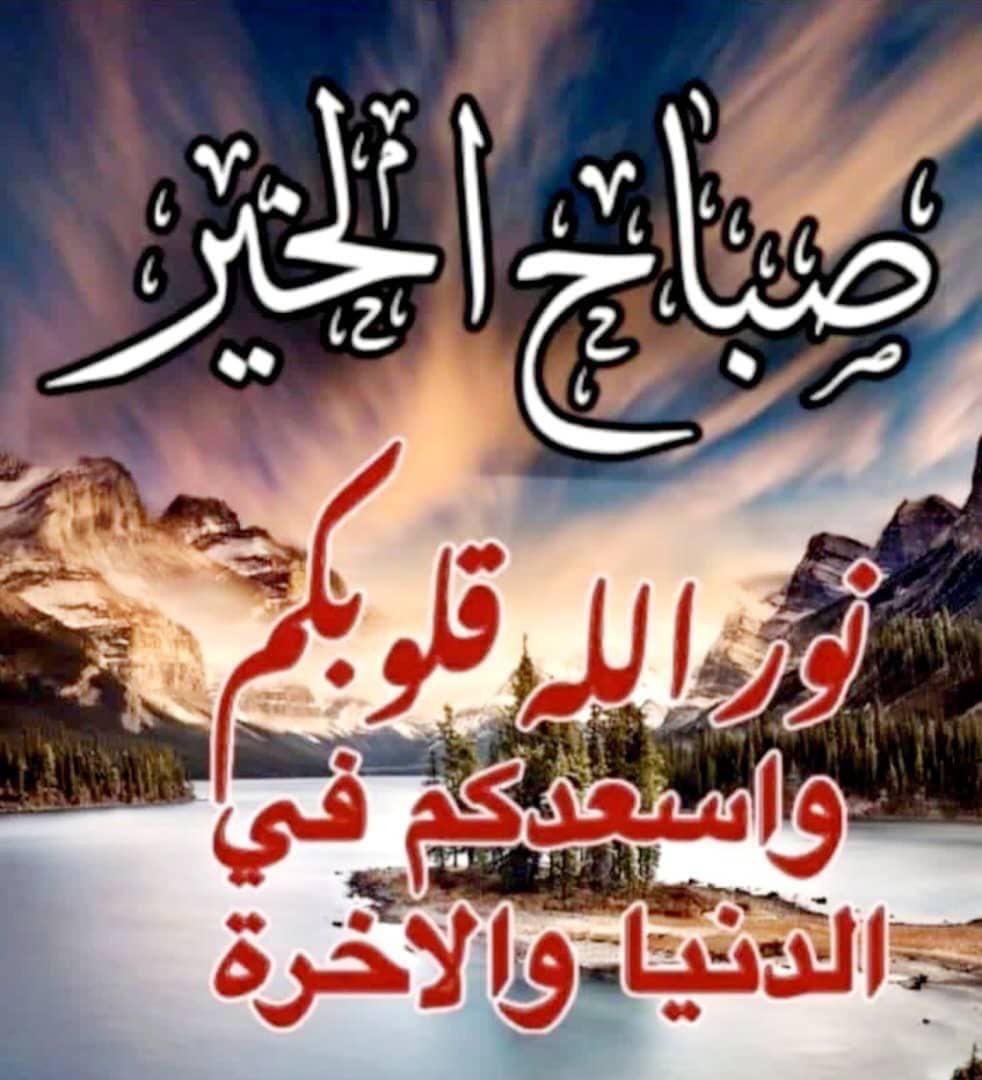 MAMDOUH (@rofeerofe) on Twitter photo 