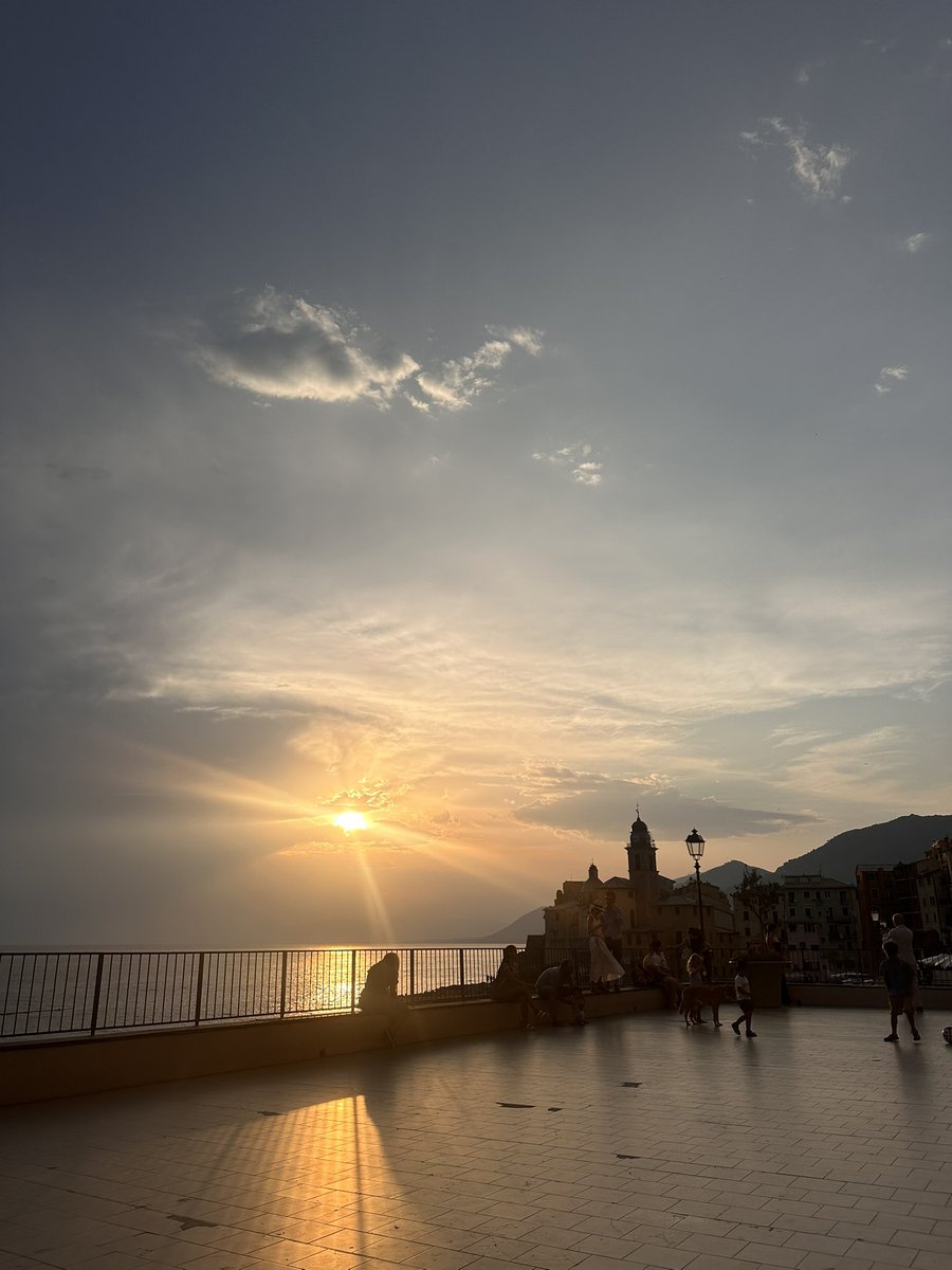 BaronofQueens's tweet photo. Their parasitic nature pervades society and absolves all beauty and excellence. Am currently in small town on Northern coast of Italia, and was sitting in small Beach front Piazza with eating Gelato w/ woman nd We were observing three small local children playing with a soccer ball peacefully, than as if to fulfill their nature and the impending doom of the west a family of Indian Mongrels inserted themselves into their game, the mother forcefully instructing the young Italian children to play with her insufferable spawn. Ruined was the perfect and natural play of the children and ruined was my perfect sunset, as if a cloud had blocked the sun.