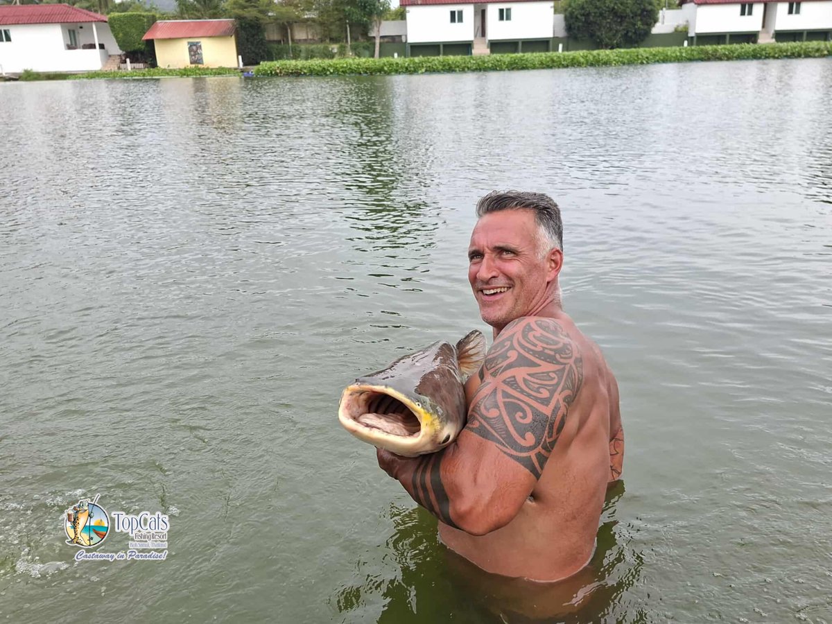TopCatsThailand's tweet photo. Both young and seasoned anglers landed lots of #Mekong this week and we can’t wait to share these pictures for everyone to see, especially some closed up ones where you can literally see our toothless #catfish!
#TopCats #CatchAndReleasePolicy https://t.co/XRCQI3EOuo