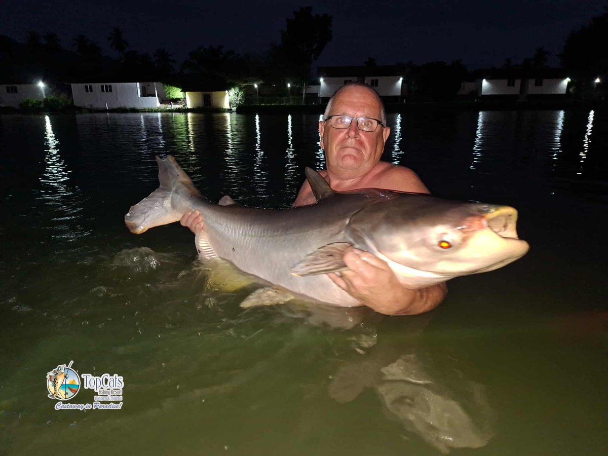TopCatsThailand's tweet photo. Both young and seasoned anglers landed lots of #Mekong this week and we can’t wait to share these pictures for everyone to see, especially some closed up ones where you can literally see our toothless #catfish!
#TopCats #CatchAndReleasePolicy https://t.co/XRCQI3EOuo