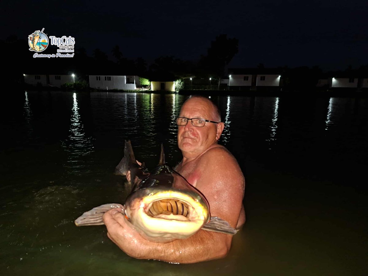 TopCatsThailand's tweet photo. Both young and seasoned anglers landed lots of #Mekong this week and we can’t wait to share these pictures for everyone to see, especially some closed up ones where you can literally see our toothless #catfish!
#TopCats #CatchAndReleasePolicy https://t.co/XRCQI3EOuo
