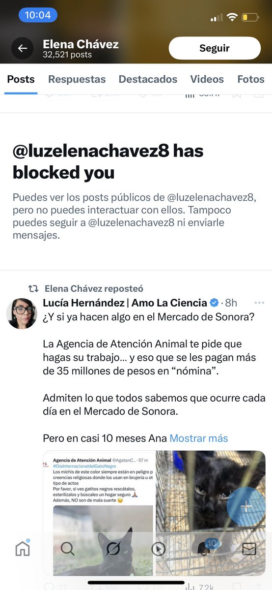 Jorge Nava 🇷🇺 🇵🇸 (@jorgenavax) on Twitter photo Tan chismosa esta perra faldera de derecha que decide bloquear cuando uno le dice sus verdades. <a href="/luzelenachavez8/">Elena Chávez</a> puta perra chismosa. Tan chismosa esta perra faldera de derecha que decide bloquear cuando uno le dice sus verdades. <a href="/luzelenachavez8/">Elena Chávez</a> puta perra chismosa.