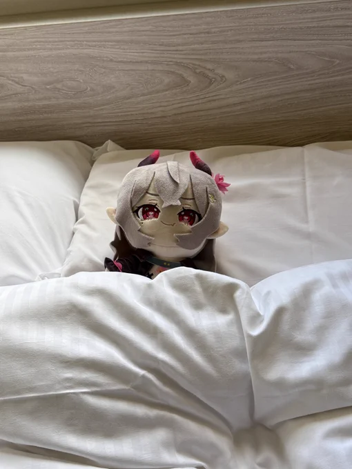 中古ソフト色々物色して、宿着 寝るとき用にテュテュルちゃん連れてきた