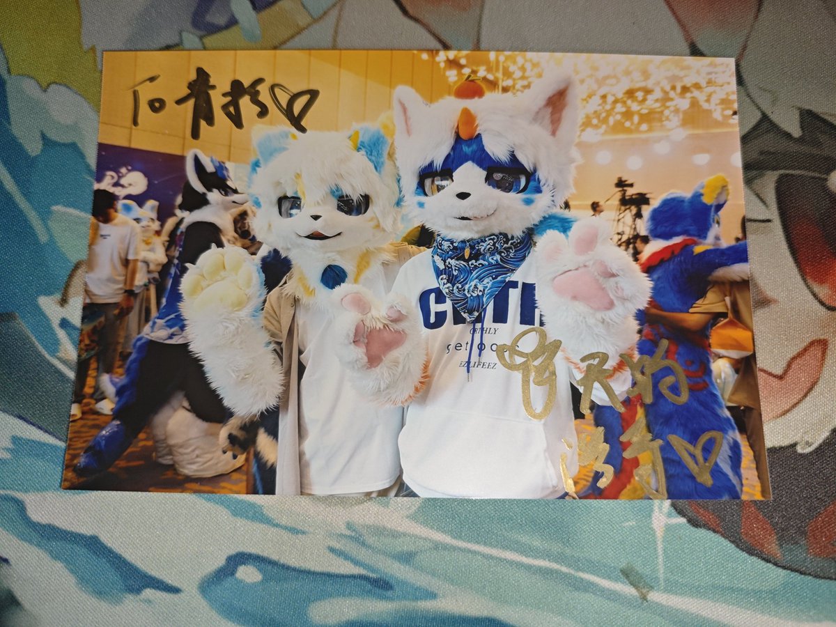青涩的桔子 tweet media