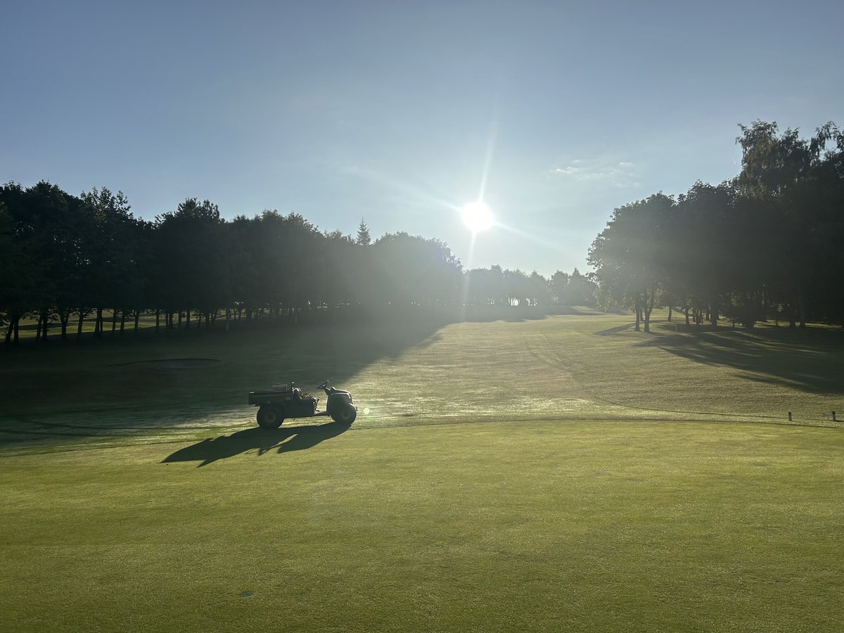 Adam flaherty tweet media