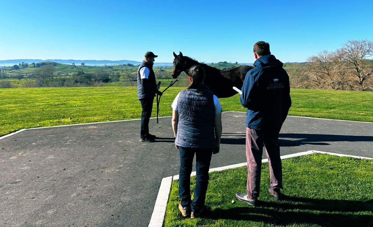 KaneJones_NZ's tweet photo. We are always treated to quality horses and a spectacular backdrop @ElsdonPark 😍

An outstanding way to end another productive week of inspections as we work towards our 100th National Yearling Sale @KarakaChat 2026 🐎

#Wherewinningbegins https://t.co/SzjI9Qs4Sy