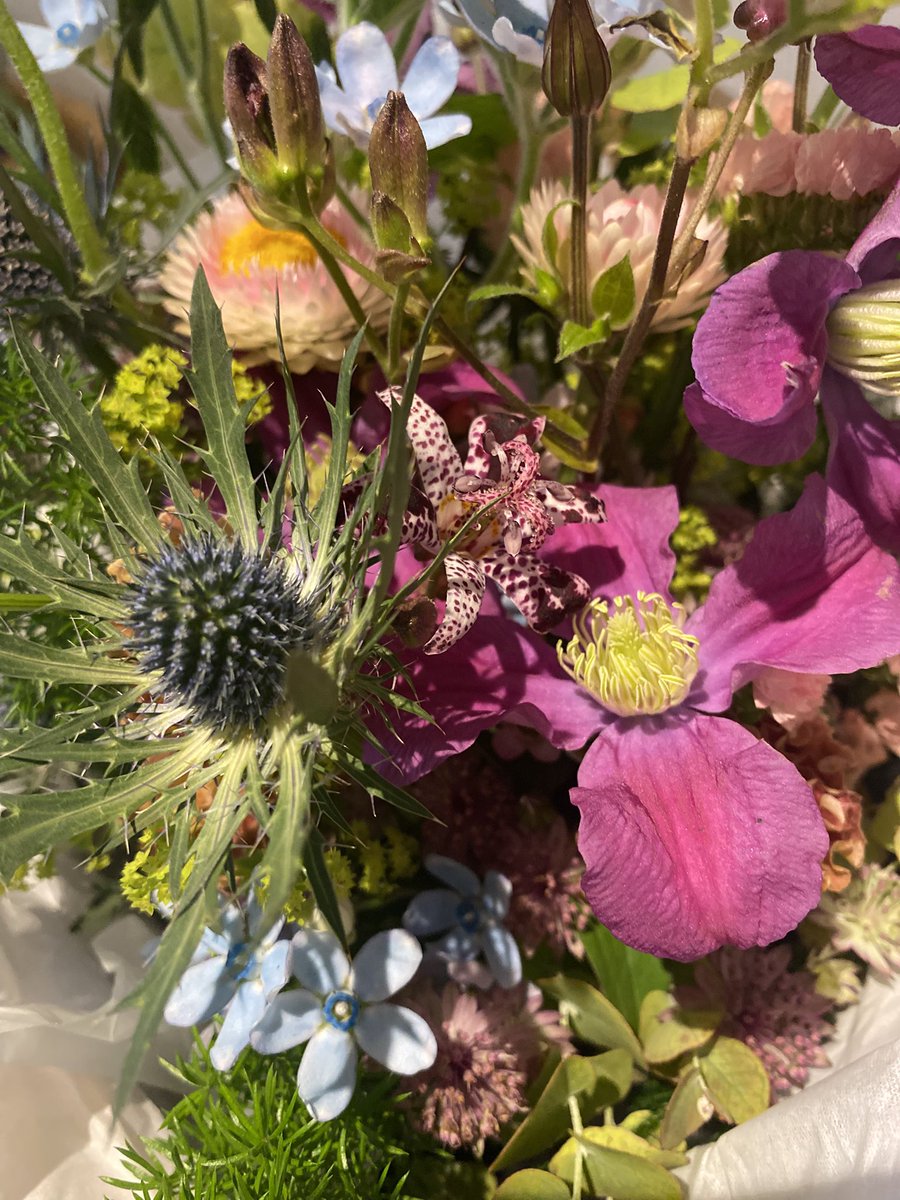 Dick Delingpole tweet media