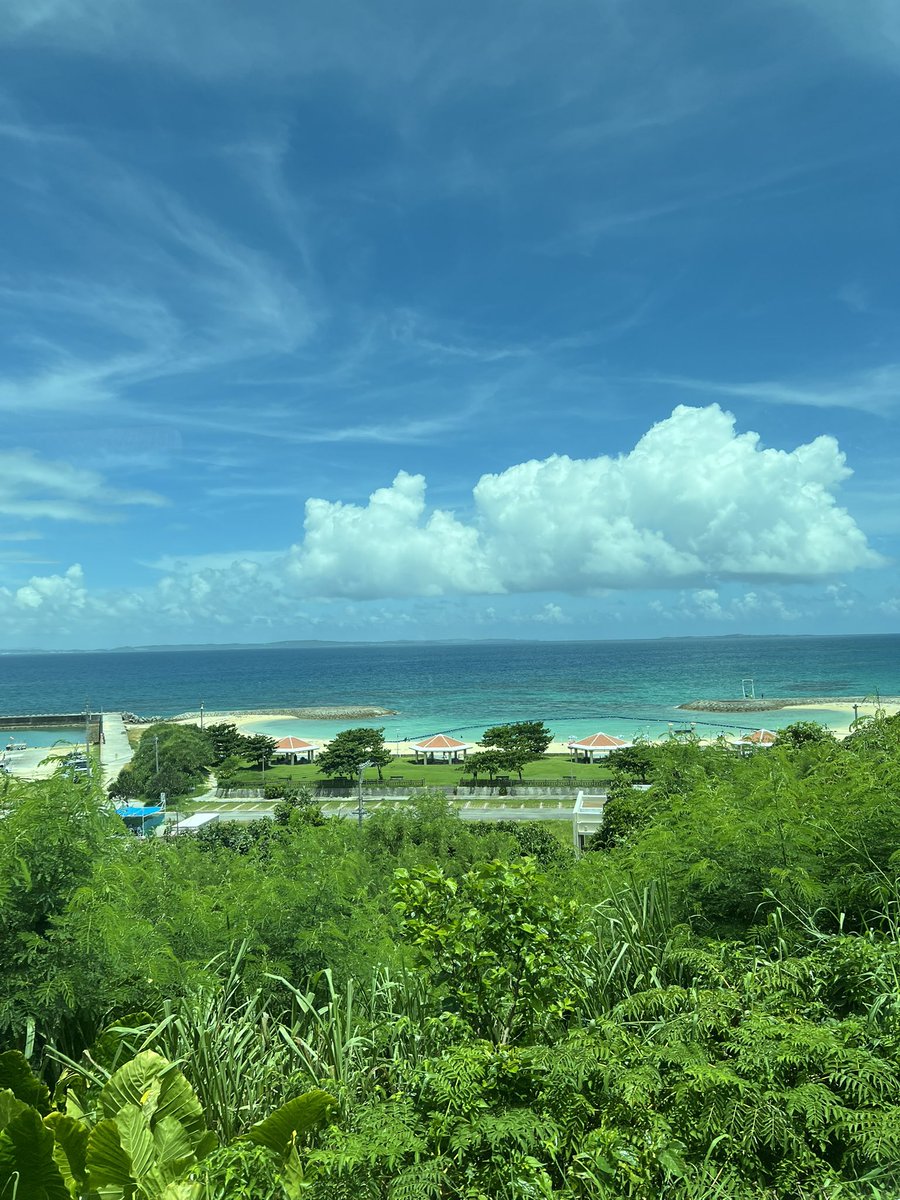 没想到在日本旅游很舒服的一点竟然是电话卡随时随地可以用ChatGPT、gmail这些app