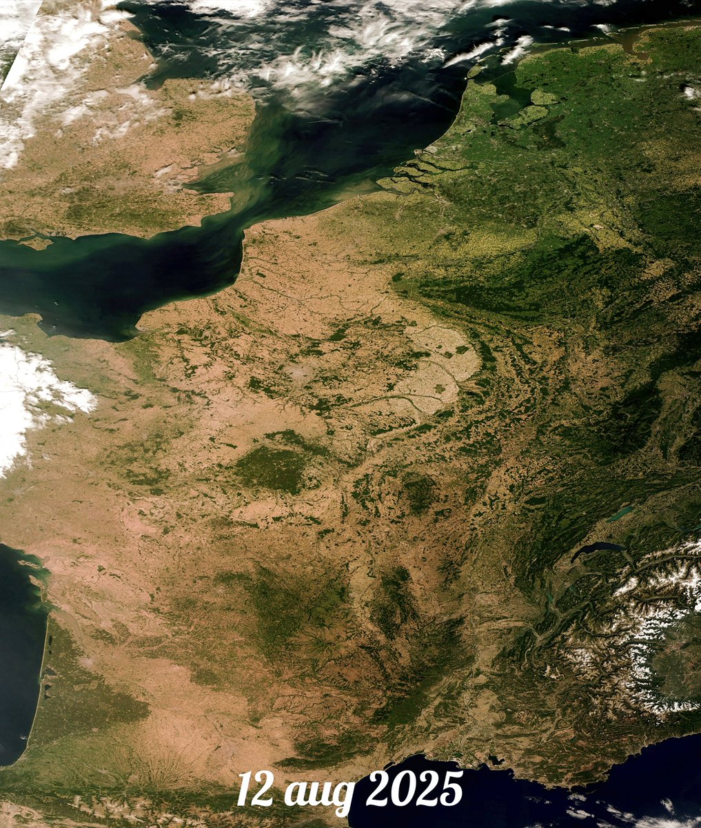 🛰 Twee satellietfoto's van West-Europa naast elkaar gezet: links van eind mei en rechts deze week. Net zuid van Nederland heerst grote droogte, de grens van dat enorme neerslagtekort ligt dwars over België. Laten we blij zijn dat bij ons nog af en toe regen valt!
 
Beelden: NASA