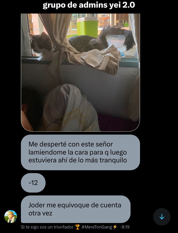 Día promedio de los admins. 
(La cuenta esta en el grupo de admins en Twitter) 
-12🦋