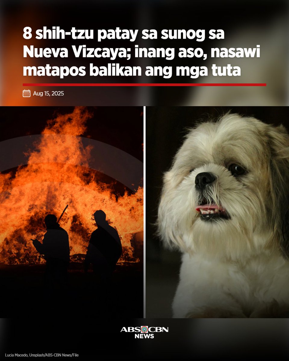 ABS-CBN News tweet media
