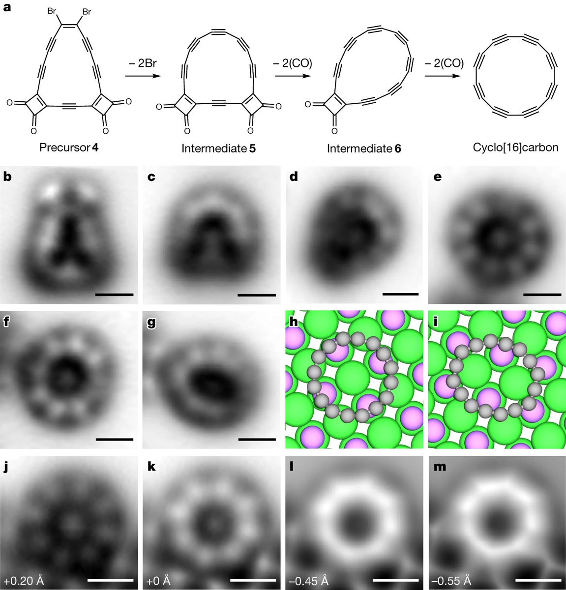 Congratulations to <a href="/HLAGroupOx/">Harry Anderson Group</a> (!) On surfaces, we have seen cyclocarbon rings created with clever tip-induced strategies (tldr: removing atoms from a precursor) Now…48 carbons stabilized with catenates in solution. 
phys.org/news/2025-08-c…