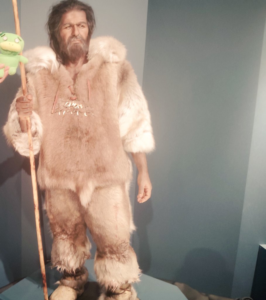 ぎゃー、刺されたー