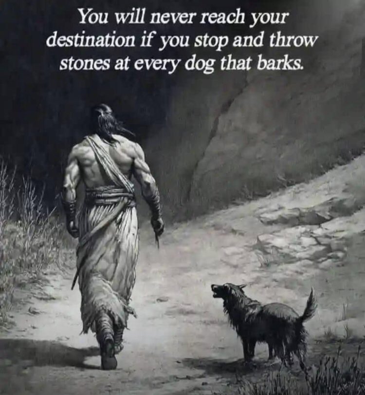 Di_Guyy✨ tweet media