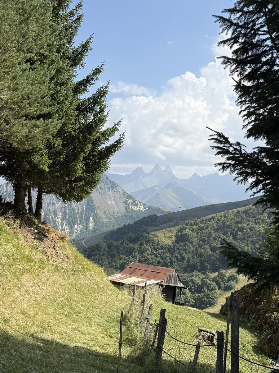 Penultima scampagnata alpina prima di ritornare in città. In una settimana di passeggiate ho imparato a conoscere queste zone palmo a palmo e ora che non bestemmio più dopo aver fatto qualche km in salita, sarà noioso tornare a passeggiare nella monotonia della pianura padana