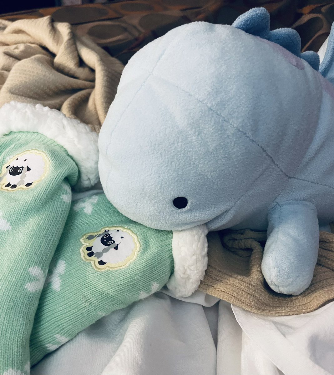 Everyone else: Exclusive … resale … something something
Me: WOOLOO SOOOOOOX!!! 🐑🥰
#pokemonworlds2025 #PokemonWorlds