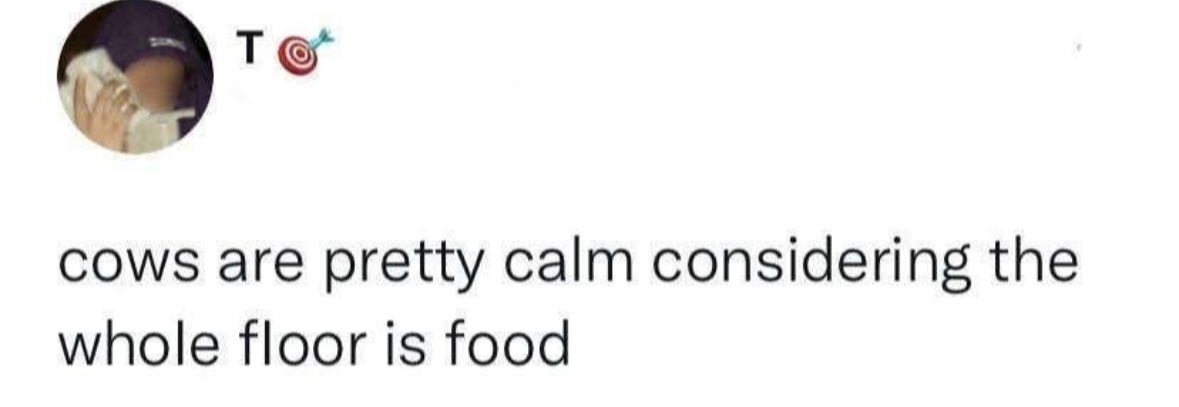 Respectful Memes tweet media