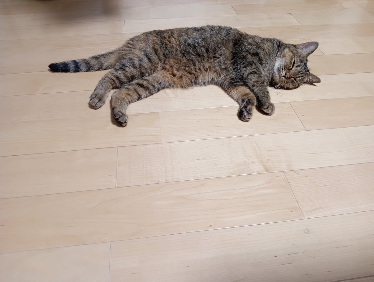 まさ (@kmskr34) on Twitter photo 連休中スイフト触ってない🤣
迅天祭までに動かせるようになるんかな笑
誰か北陸から迅天祭行く人いたら一緒に行きません? 連休中スイフト触ってない🤣
迅天祭までに動かせるようになるんかな笑
誰か北陸から迅天祭行く人いたら一緒に行きません?