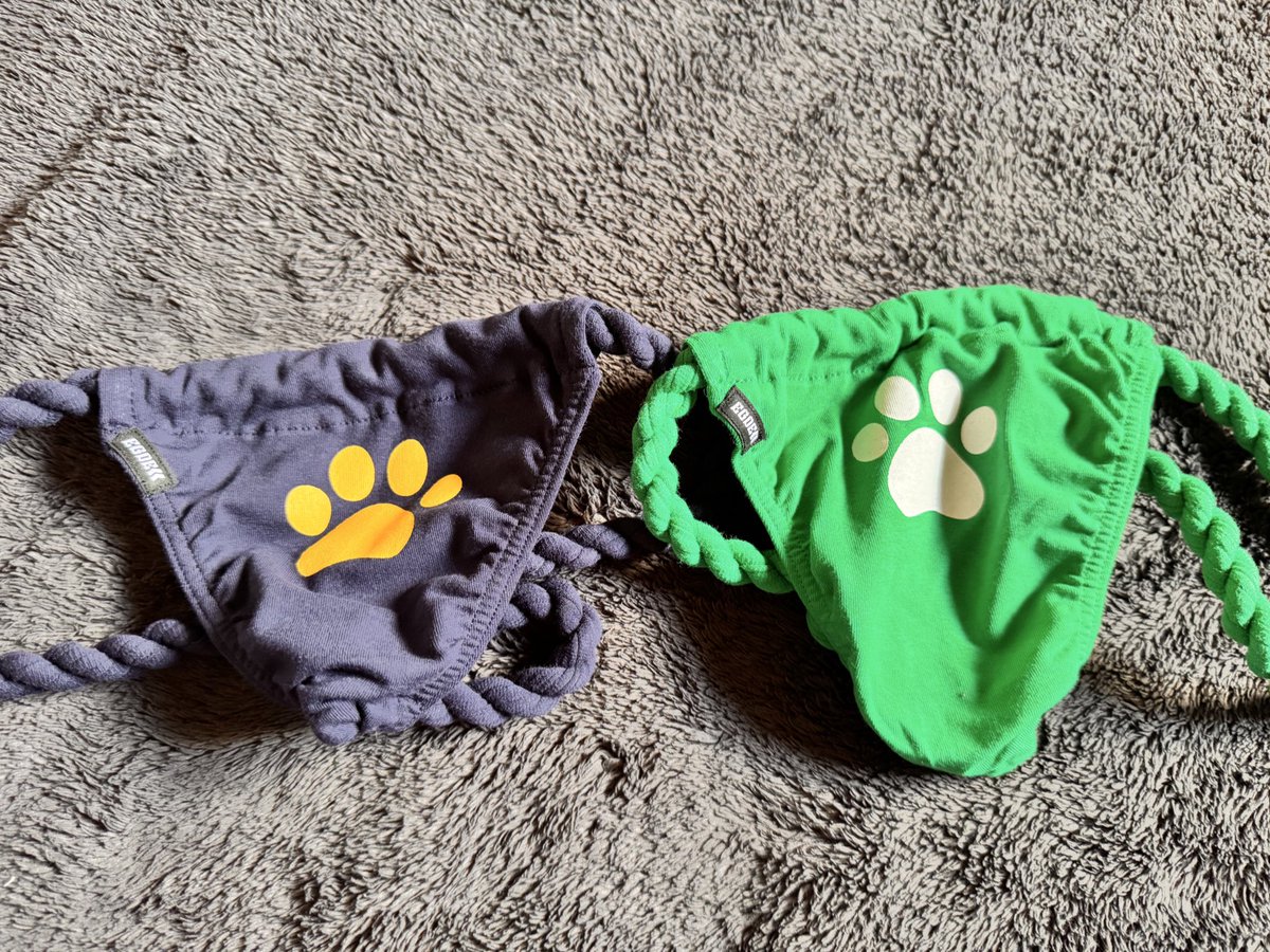 りゅう tweet media