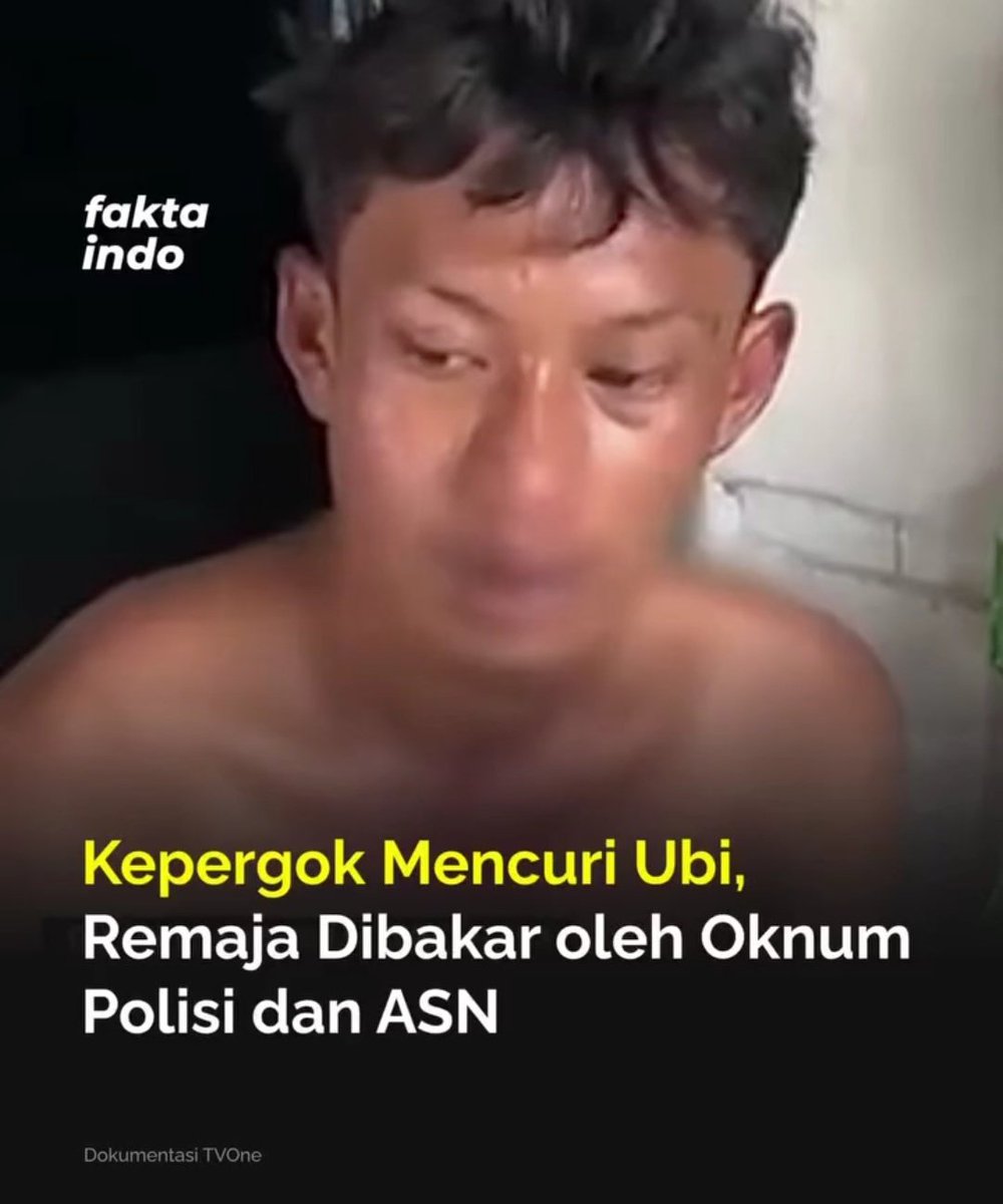 Noucampline. tweet media