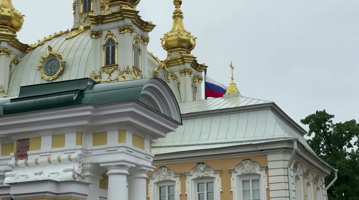 ANNA IS BACK17 tweet media