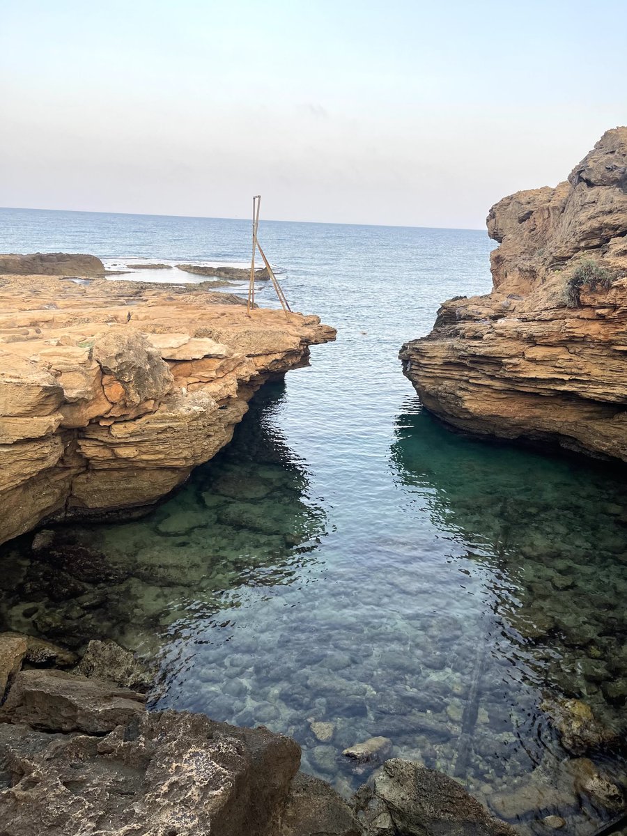 The sea is a mirror of the soul—vast, restless, and holding in its depths both storms and stillness…(A gentle walk along the unique Mediterranean shore is a balm for the soul. Attached are pictures from this morning), (August 15th, 2025)