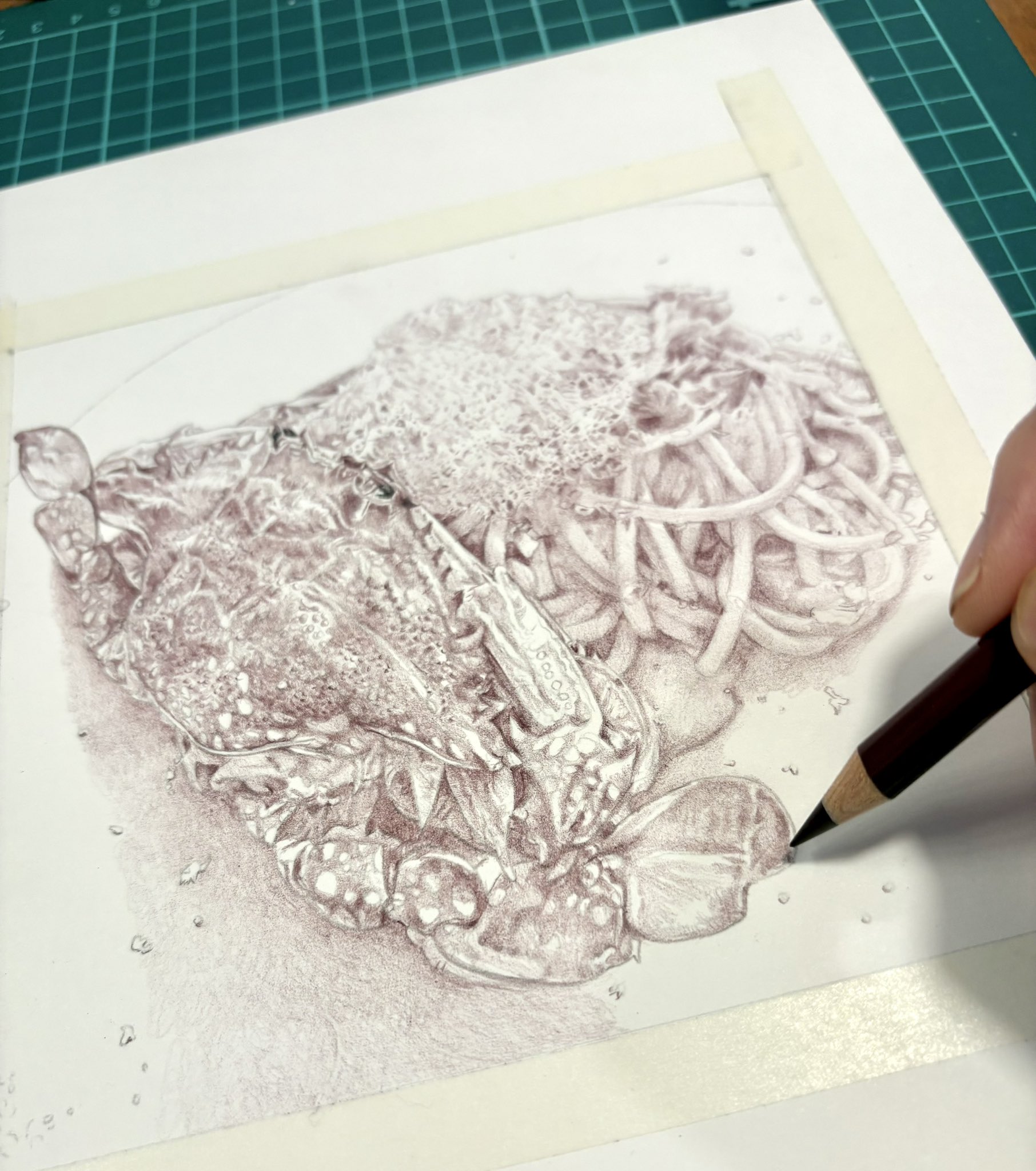 色鉛筆画 075c3b1cecdc10bbbbb38c981a02a8