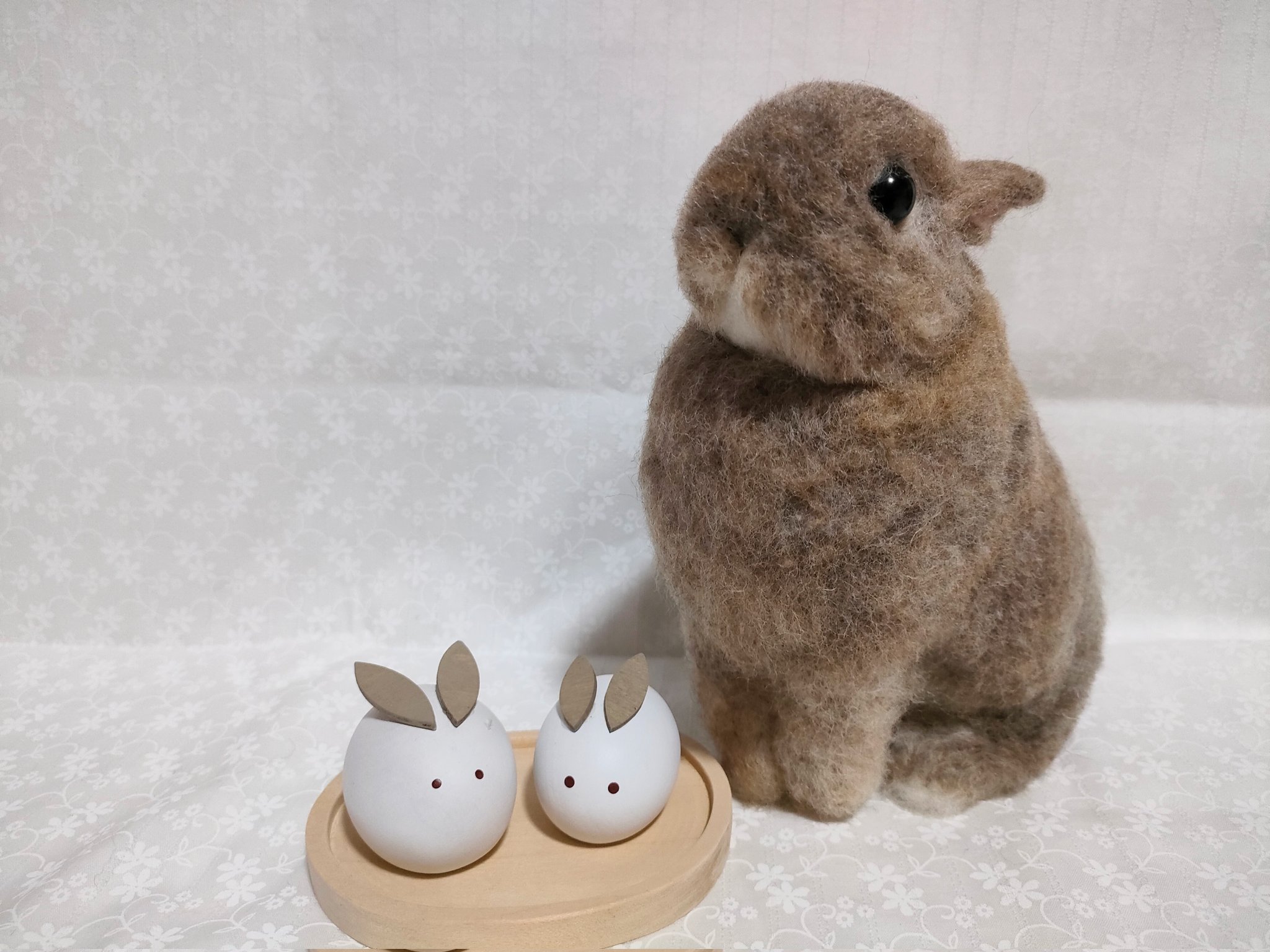 うさぎのそらﾁｬﾝ🐰@お世話係の母 on X: 