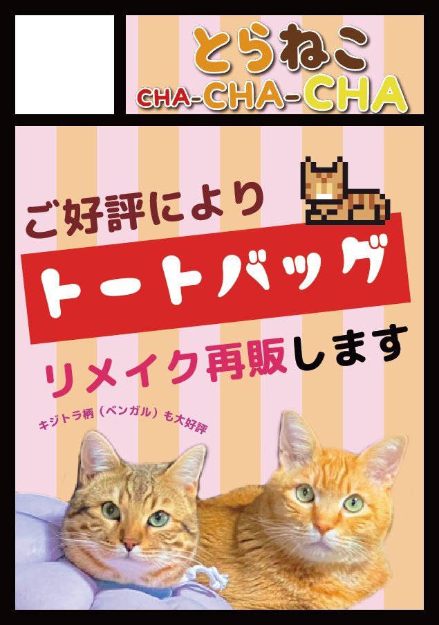 とらねこページ とらねこページ とらのこ | RIKU |本 | 通販 | Amazon