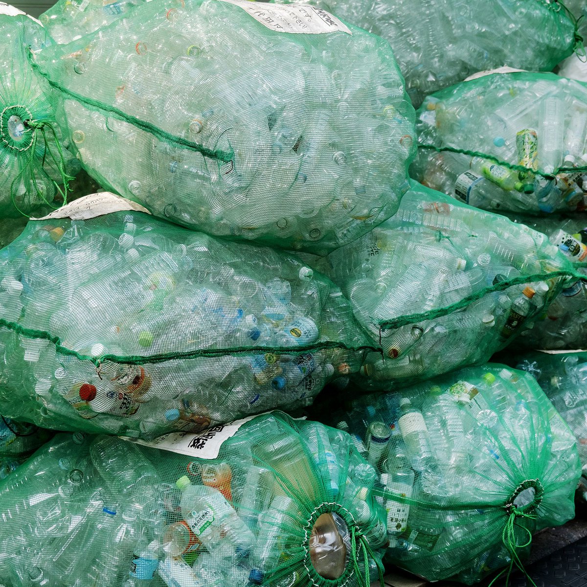 Lewis Bush tweet media