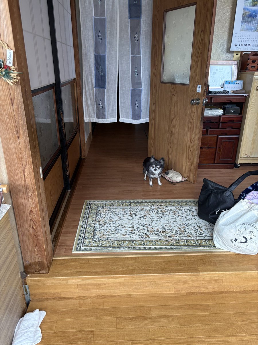 藤塩🗻🧂 tweet media