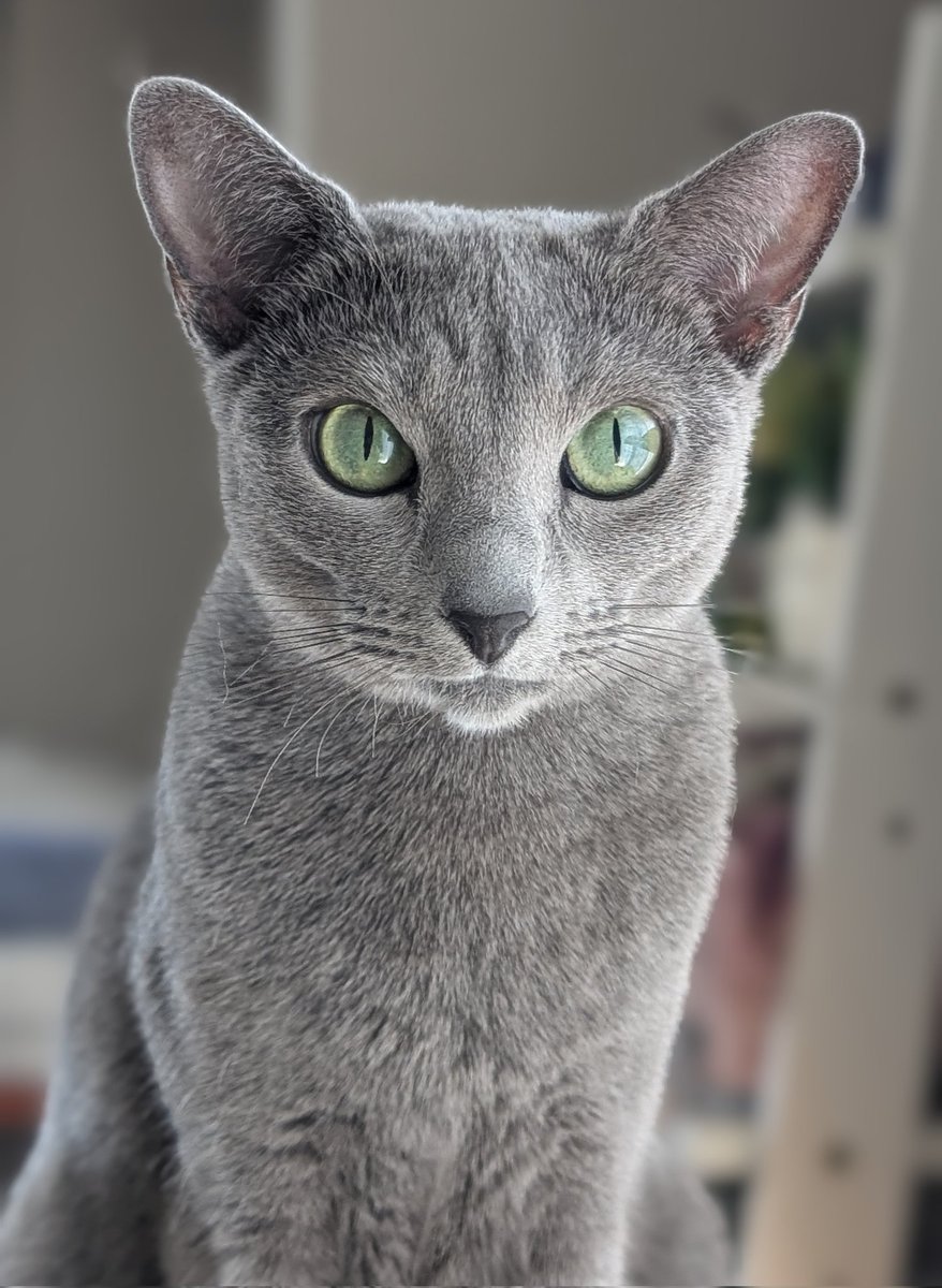 ちょっとかわいすぎない！？