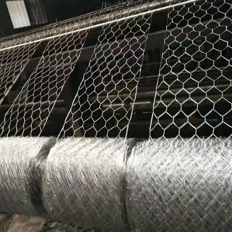RongtaiWireMesh's tweet image. Galvanized hexagonal wire netting rolls
✅ Multiple wire gauges &amp;amp; mesh sizes available
🏡 Ideal for poultry fencing, gardens
🛠️ Flexible, rust-resistant, and easy to install
📩 Contact us for quote or samples
📧 Email: henrylu@rongtaifence.com
#hexagonalmesh  #rongtaifence