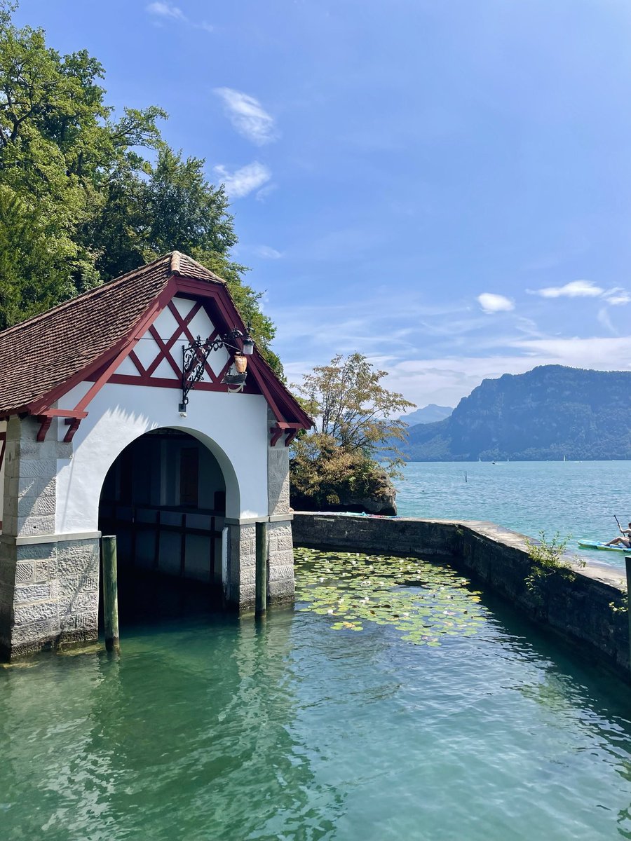 TheSwissPath.com tweet media