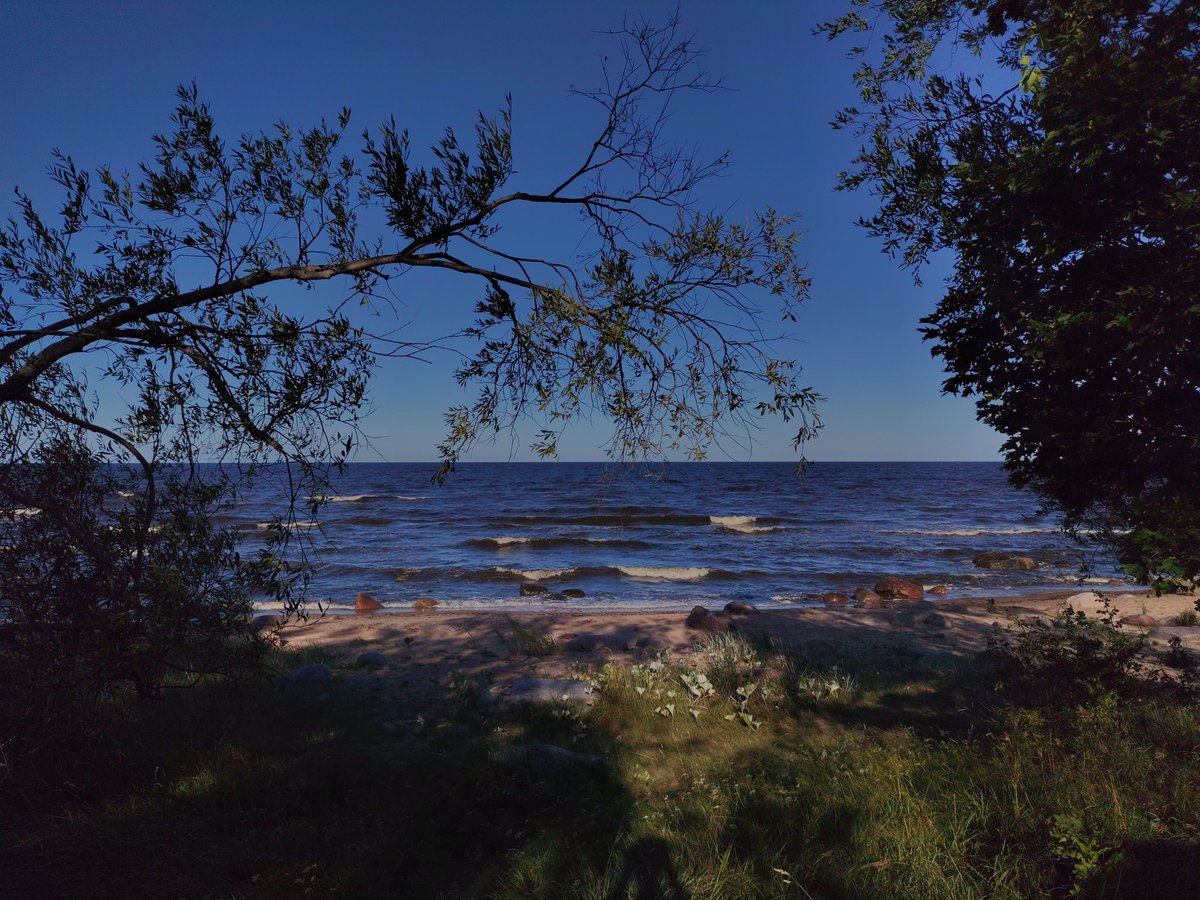 Vēlīns piektdienas brokasts ar skatu.