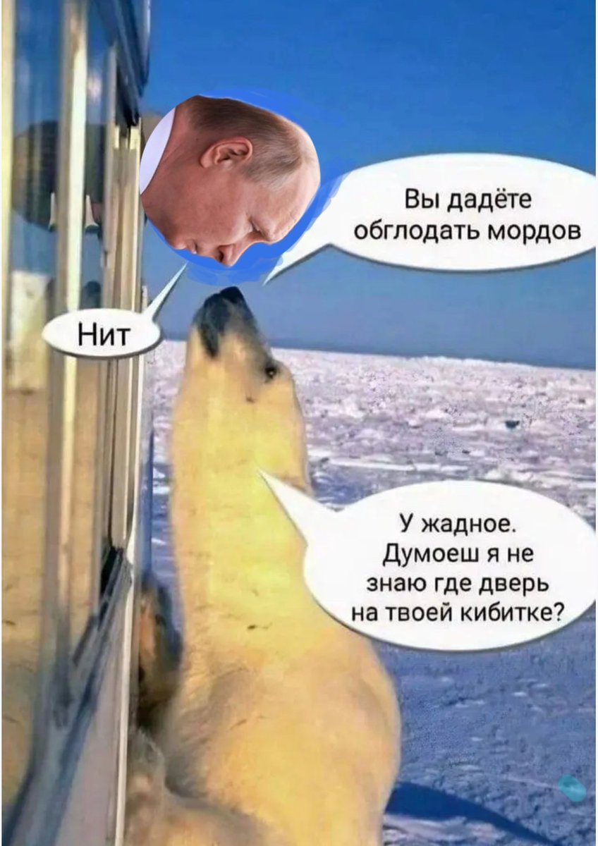 Давай , ведмедику, на тебе сподіваємось☺️🙏🙏🙏