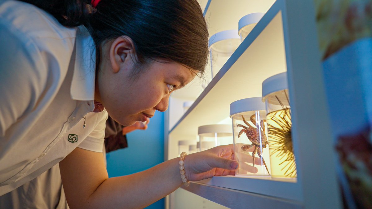 The Swire Institute of Marine Science (SWIMS) HKU tweet media