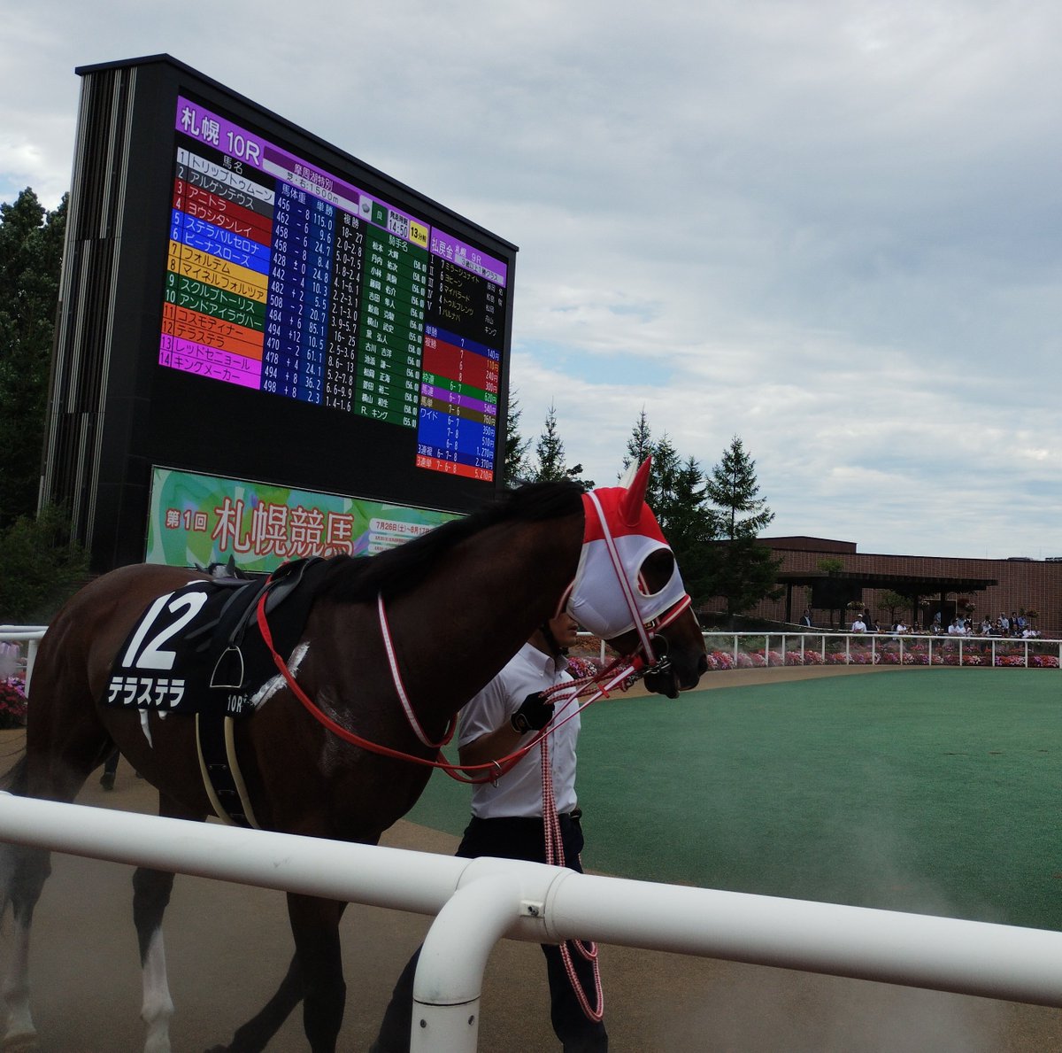 heki01797358's tweet image. ＃テラステラ
＃札幌競馬場