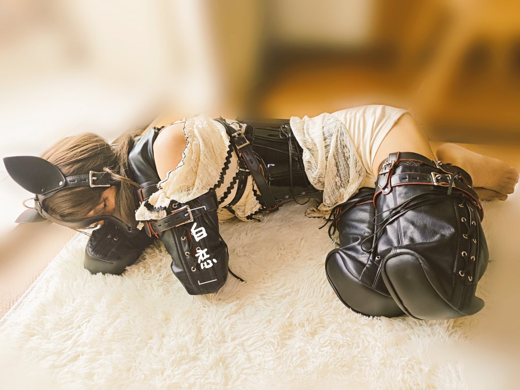 k9拘束- Twitter Hashtag | Sotwe