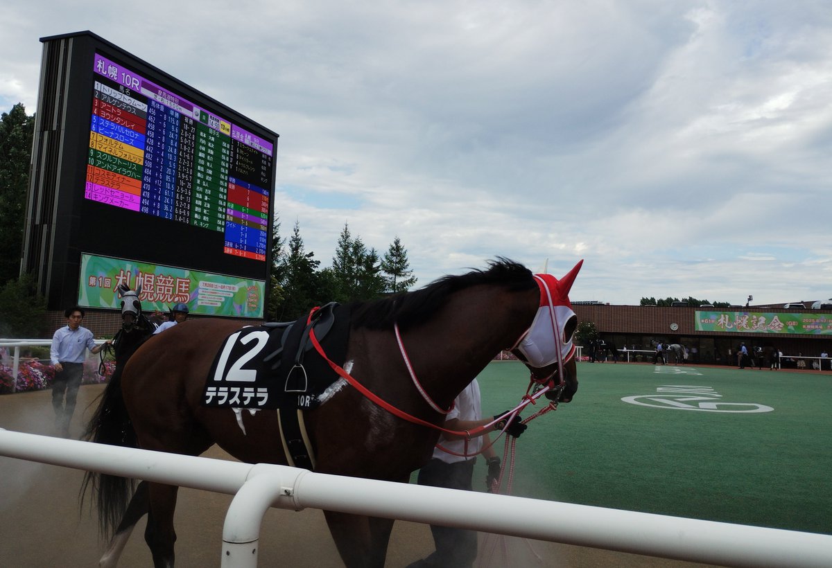 heki01797358's tweet image. ＃テラステラ
＃札幌競馬場