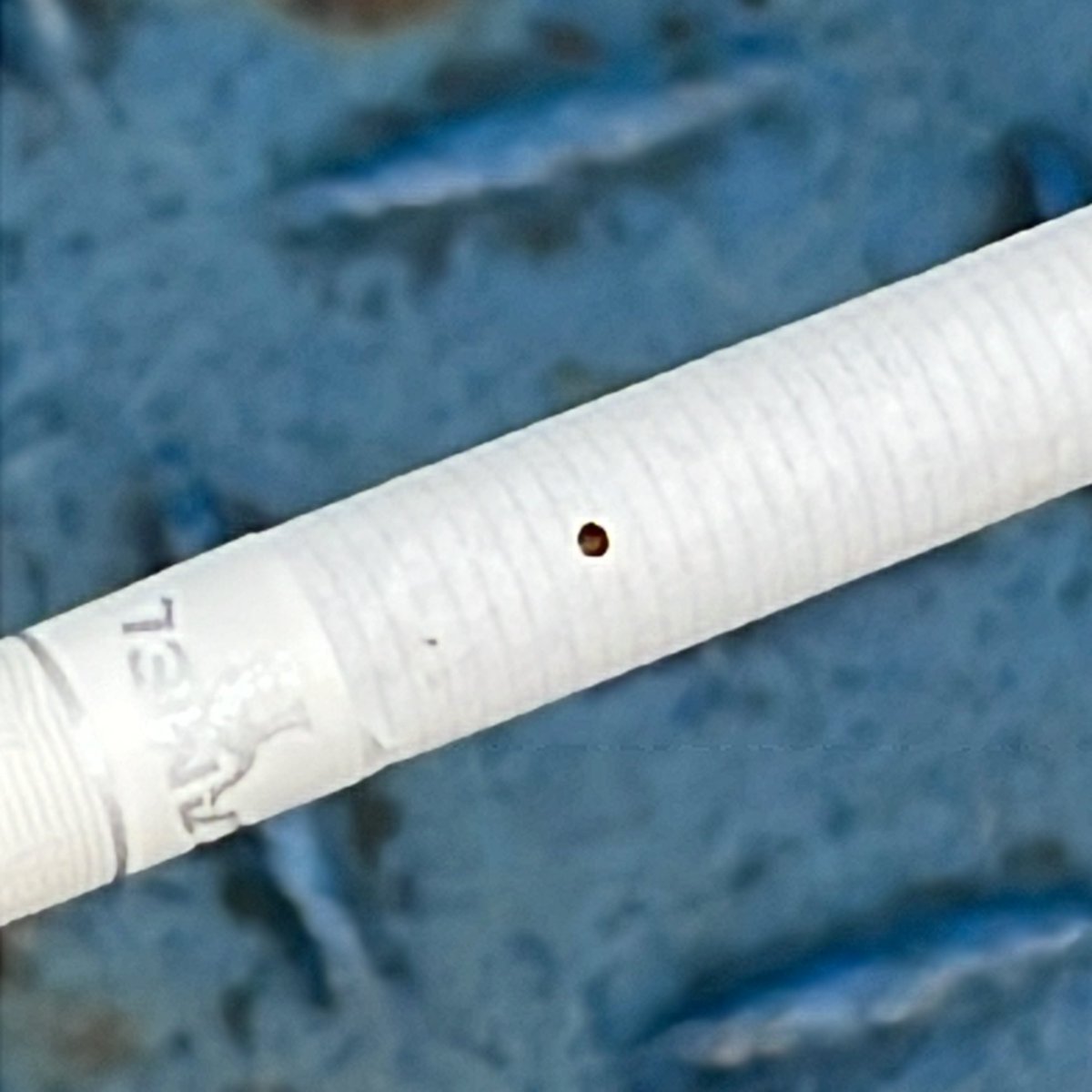 古いタバコ吸う時は虫チェックマストで