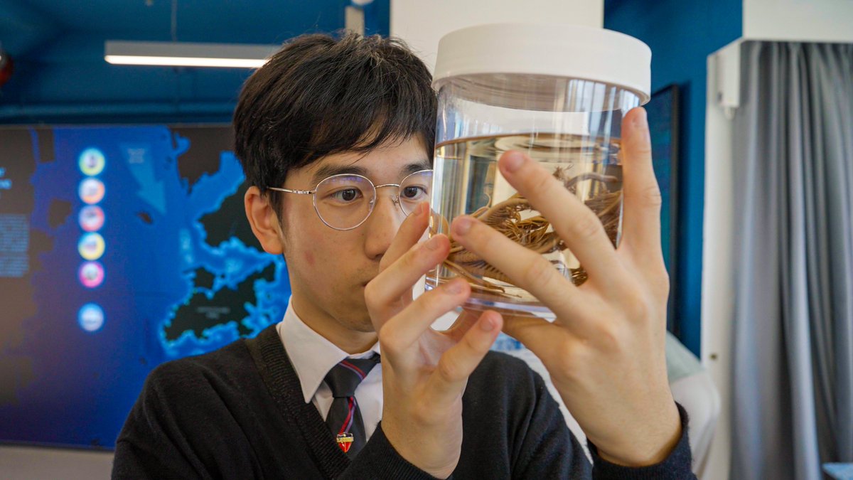 The Swire Institute of Marine Science (SWIMS) HKU tweet media