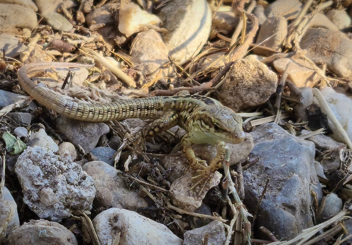 "Ljudi nisu hladnokrvni. Zašto se ti onda na suncu cijelo vrijeme?"