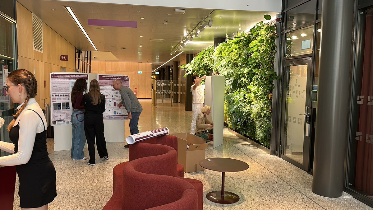 Benedict Chambers (@agingfencer) on Twitter photo Poster putting up time for 2025 <a href="/AmgenFoundation/">Amgen Foundation</a> Karolinska scholars Poster putting up time for 2025 <a href="/AmgenFoundation/">Amgen Foundation</a> Karolinska scholars
